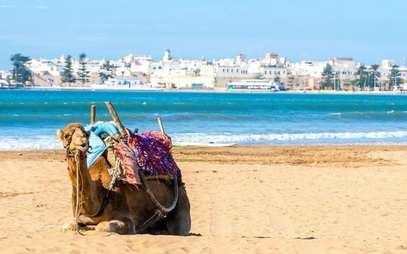Appartement Essaouira Proche De La Mer Экстерьер фото