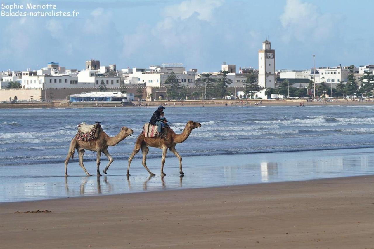 Appartement Essaouira Proche De La Mer Экстерьер фото